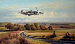 Spitfire Over Old Bolingbroke